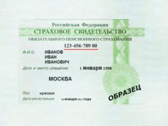 Страховой номер индивидуального лицевого счета – СНИЛС